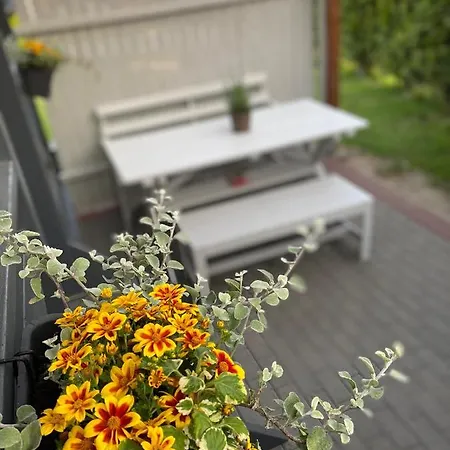 Domek letniskowy Baltic Star *