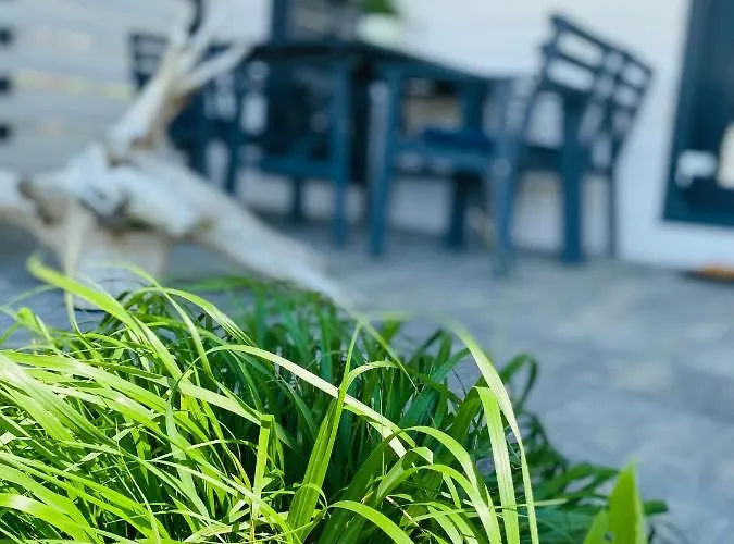 Baltic Star * Władysławowo